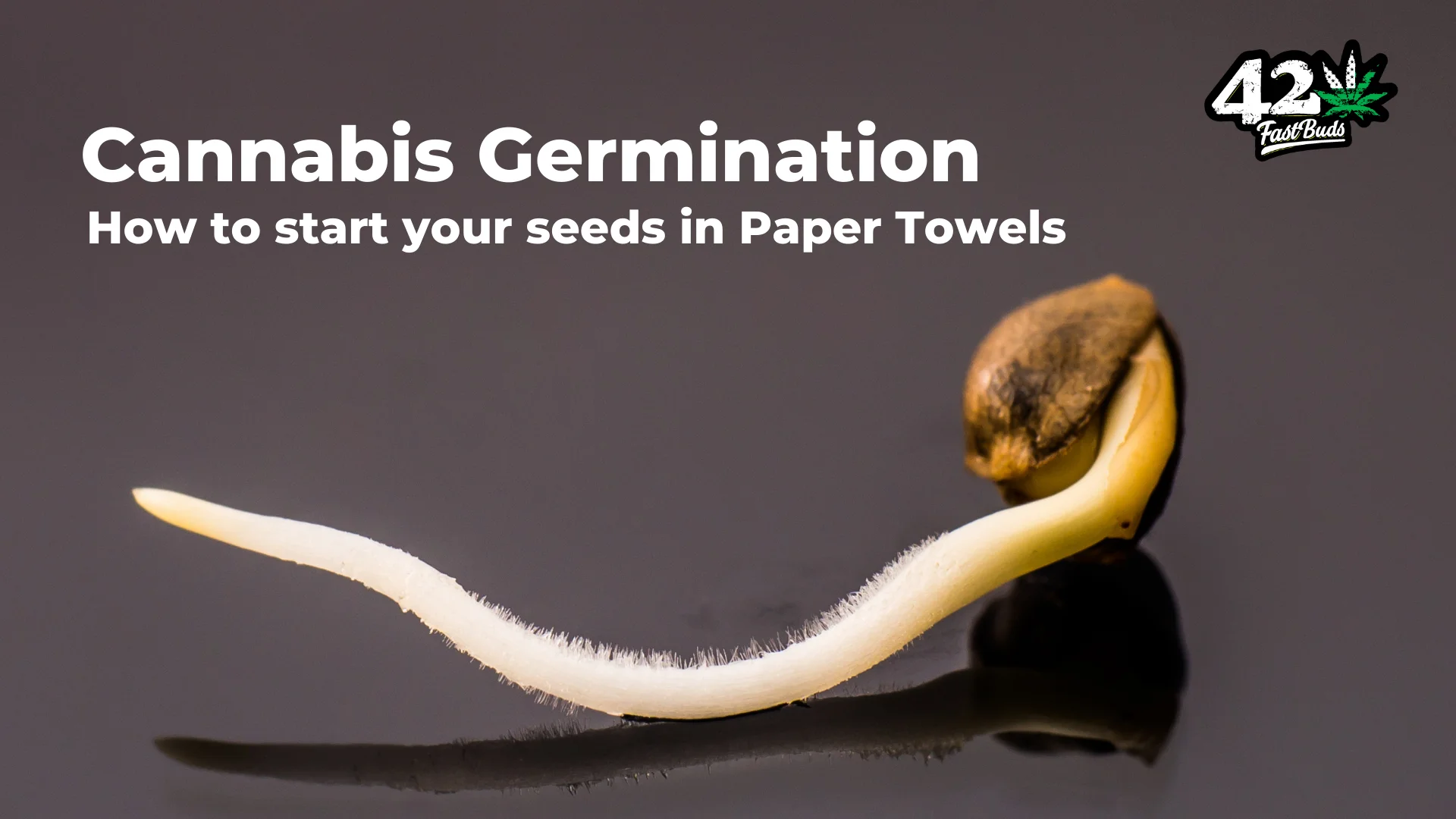 germination of weed seeds