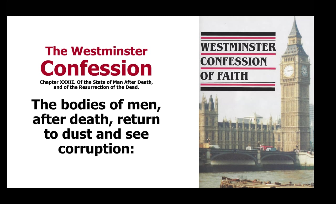 Life After Death and the Soul