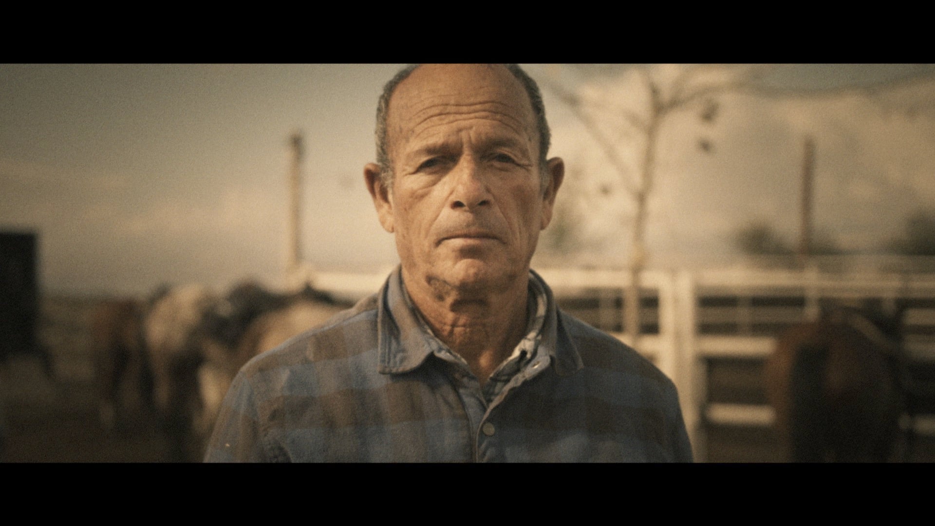 Unifimoney "My Daddy"