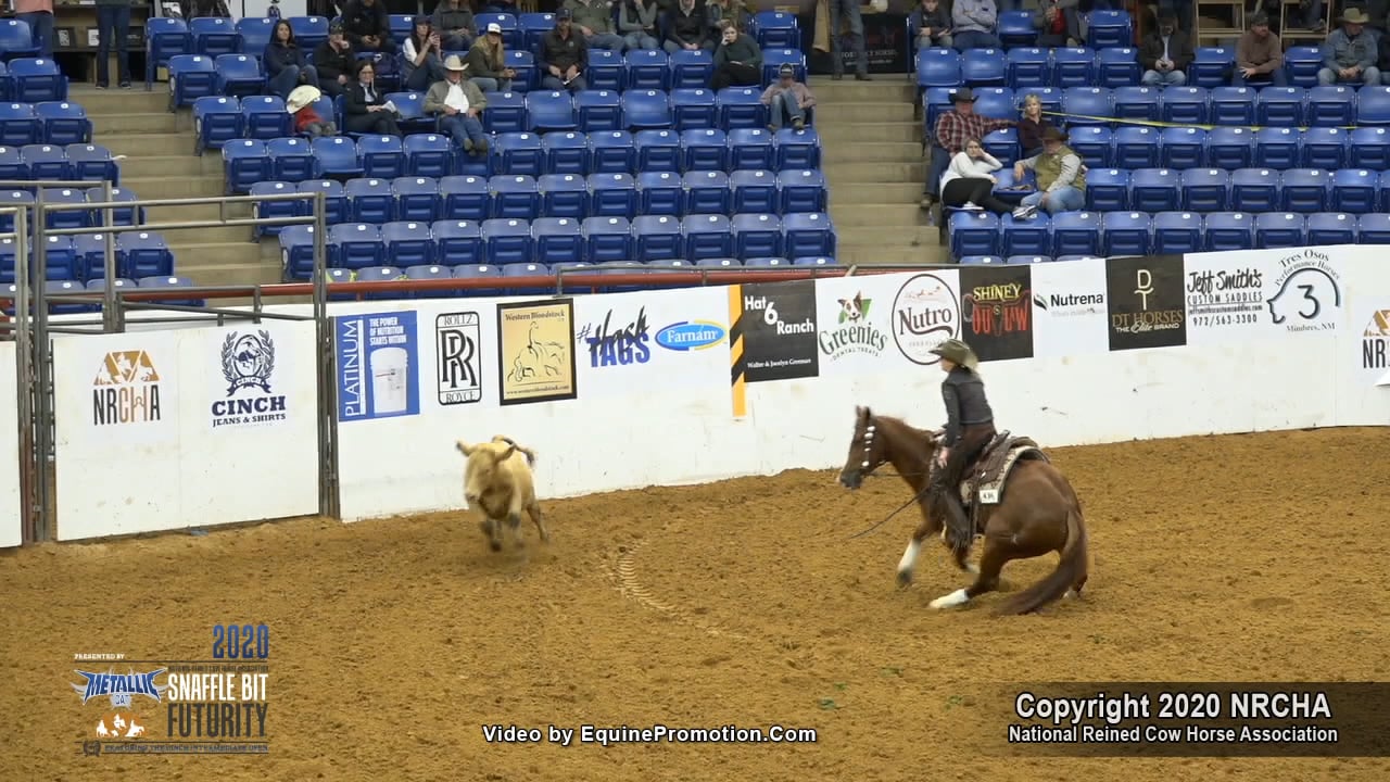 Smart Chic An Tari ridden by Sarah Dawson 2020 Snaffle Bit Futurity ...