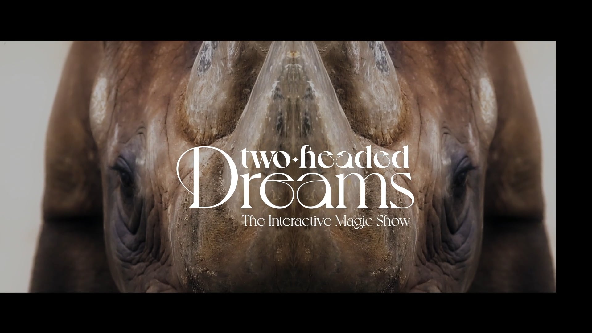 Two - Headed Dreams