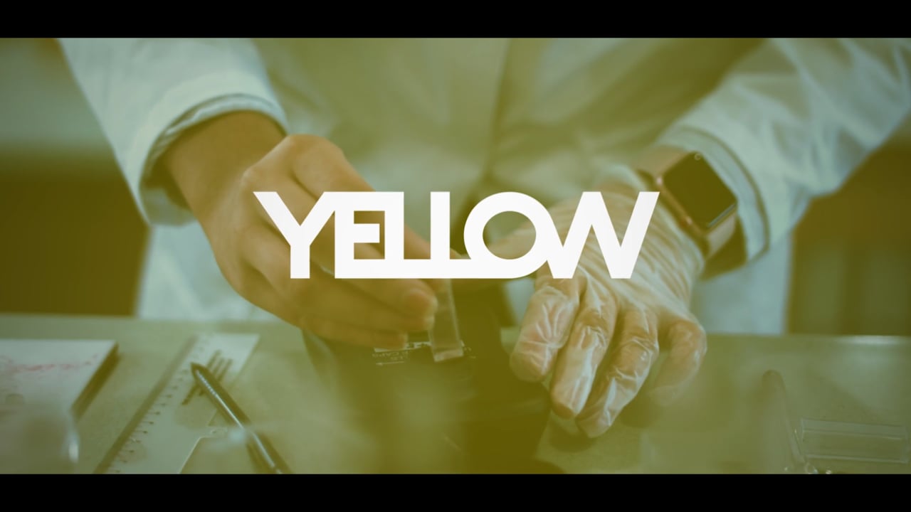 Yellow Animation Showreel