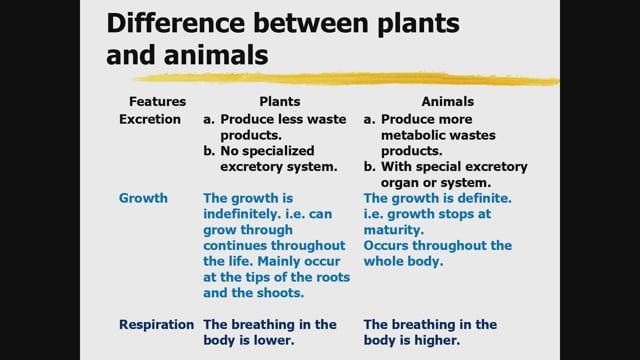Difference between plants and animals - Teleskola