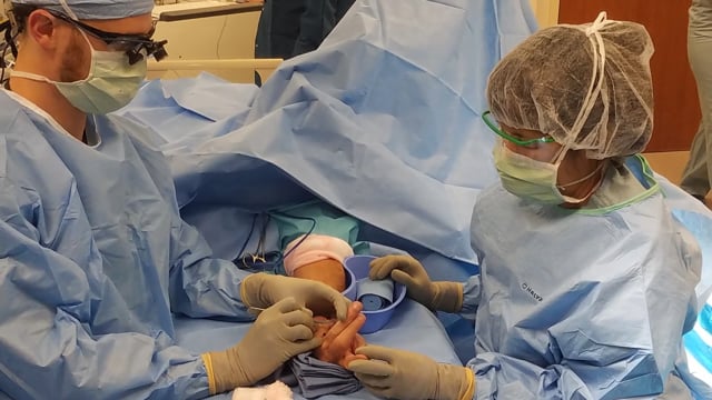 Hand Surgery Fellowship Information | Department of Orthopaedic Surgery and  Sports Medicine » College of Medicine » University of Florida