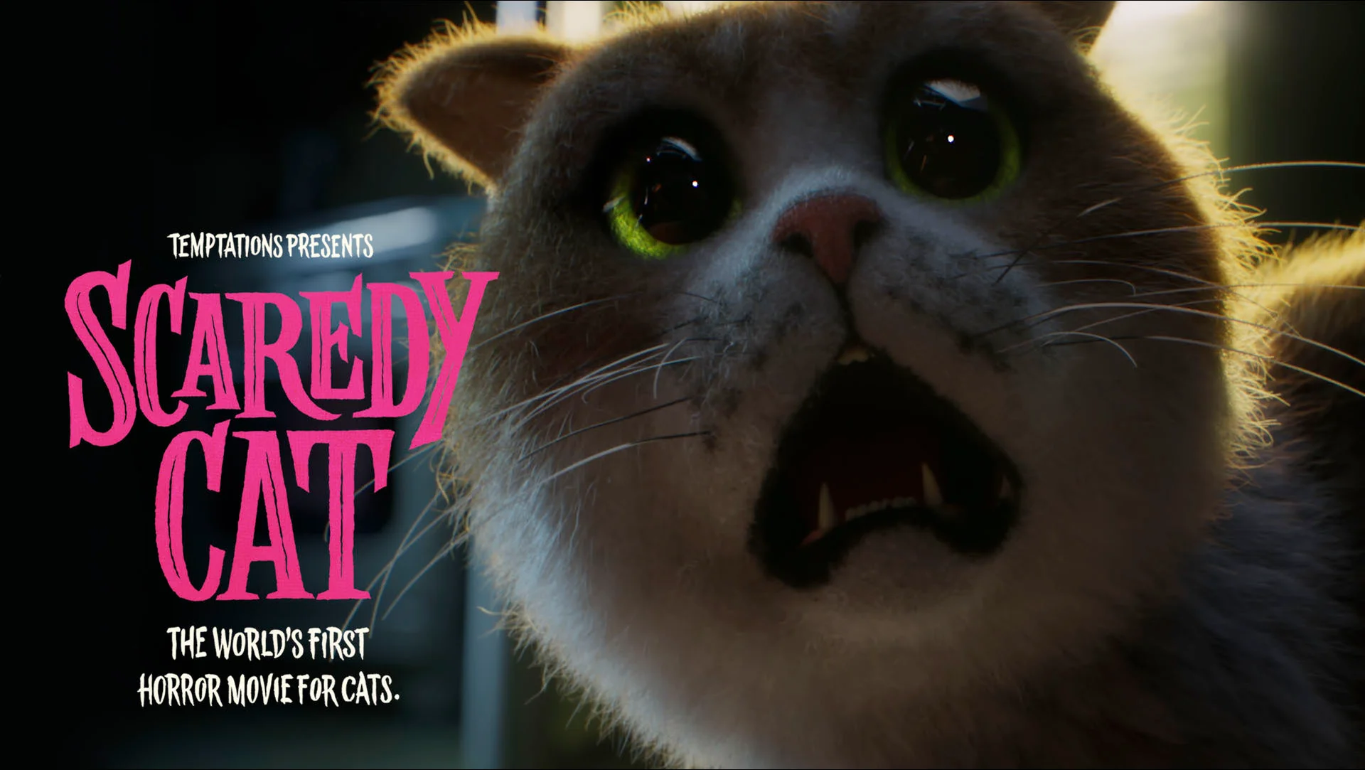 Scaredy Cat' is a Horror Film for Cats from Mars Temptations