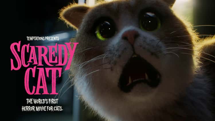 Scaredy Cat' is a Horror Film for Cats from Mars Temptations