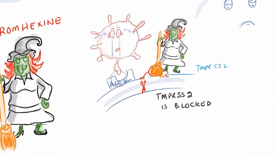 Bromhexine Study, SARS-COV-2 Antibody Cocktail