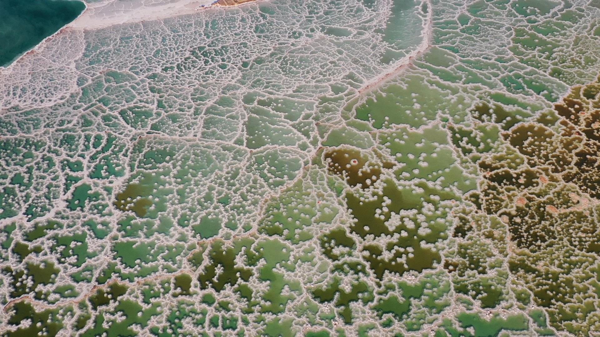 מרחבי ארץ ישראל