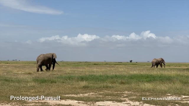 Prolonged-Pursuit. Context: Aggressive (2)
