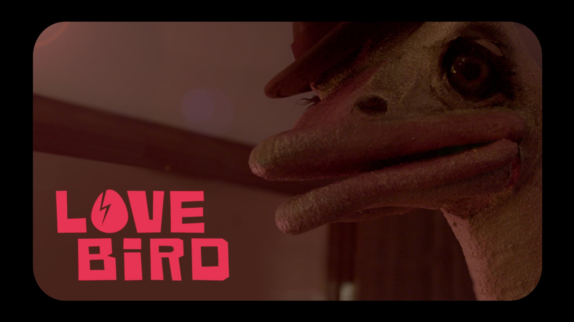 Lovebird