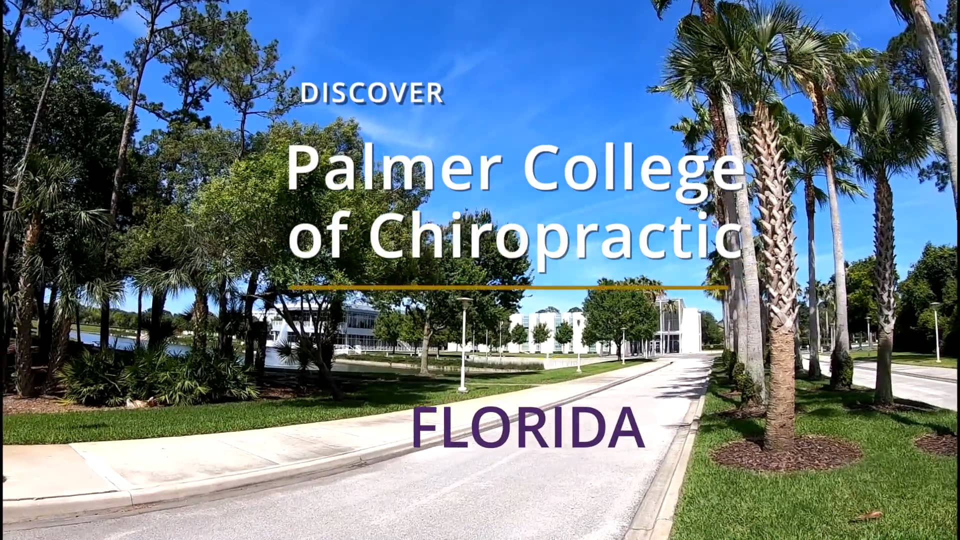 discover-palmer-college-of-chiropractic-florida-walking-tour-on-vimeo