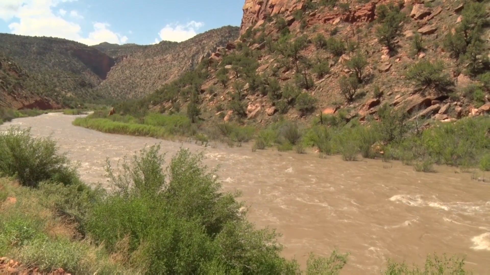 Dolores River Release