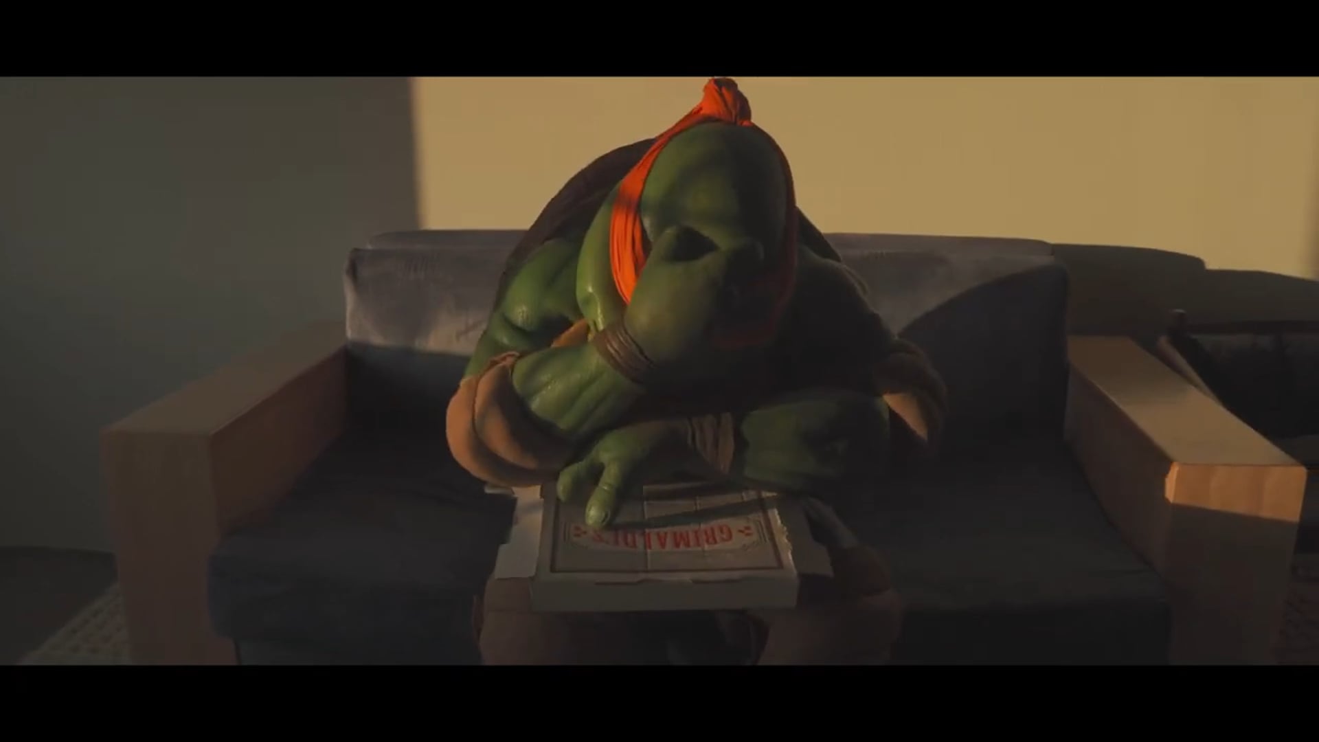 Mid-Life Crisis Ninja Turtle