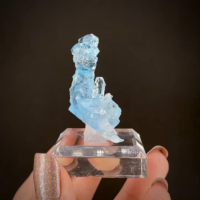 オリバーガルポップアート MODESTLY AQUAMARINE DISPLAY