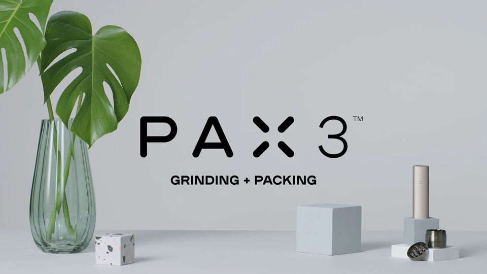 PAX3 - Grinding + Packing