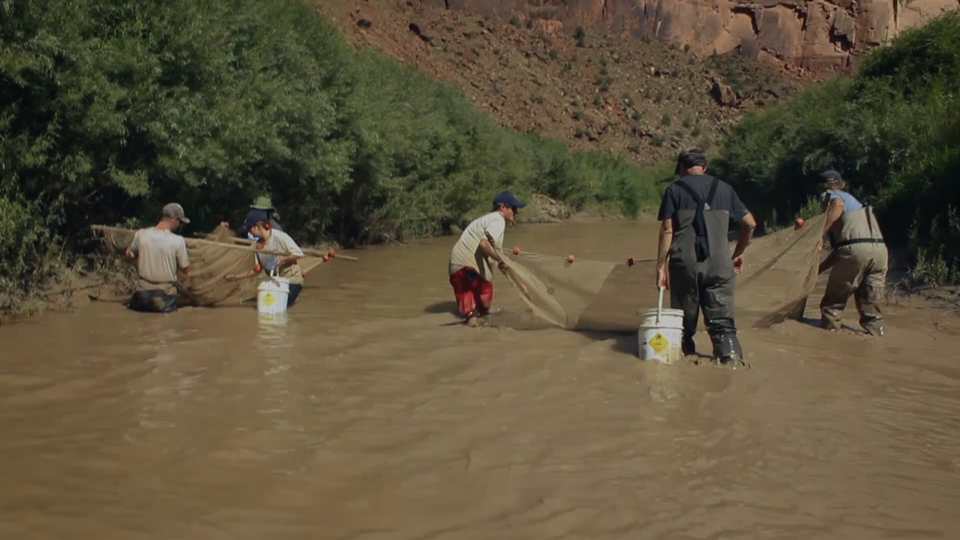 90-Second Nature: What is fish seining?