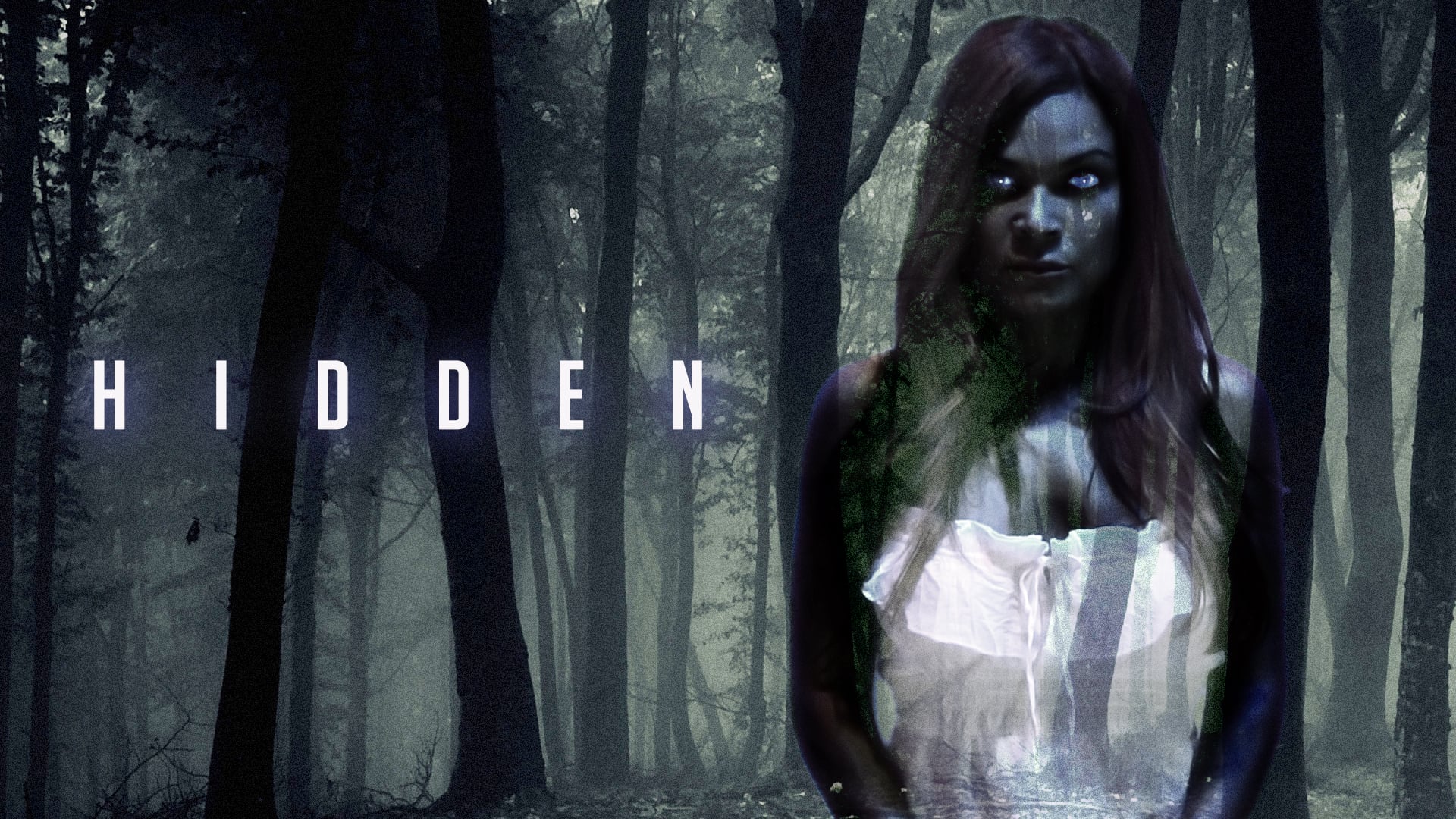 Hidden Feature Trailer