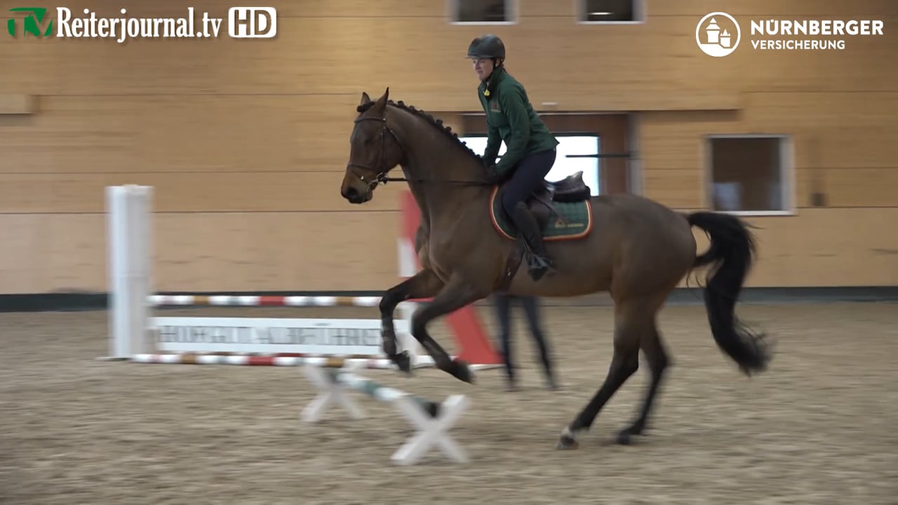 Richtig Reiten mit Markus Lämmle - präsentiert von der NÜRNBERGER VERSICHERUNG