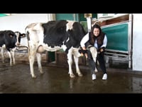 Laura Armesto. A Parrocha (Paradela, Lugo)