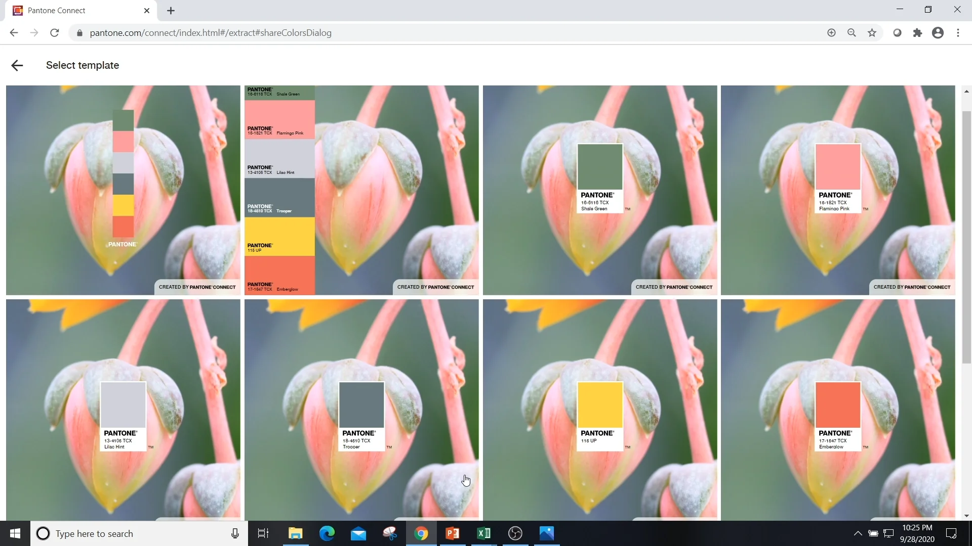 Connecting Pantone With Data Viz. Expand your color toolbox with