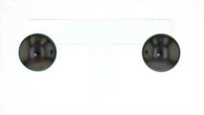 11-12mm Black Cultured Tahitian Pearl Earrings in 14kt White Gold