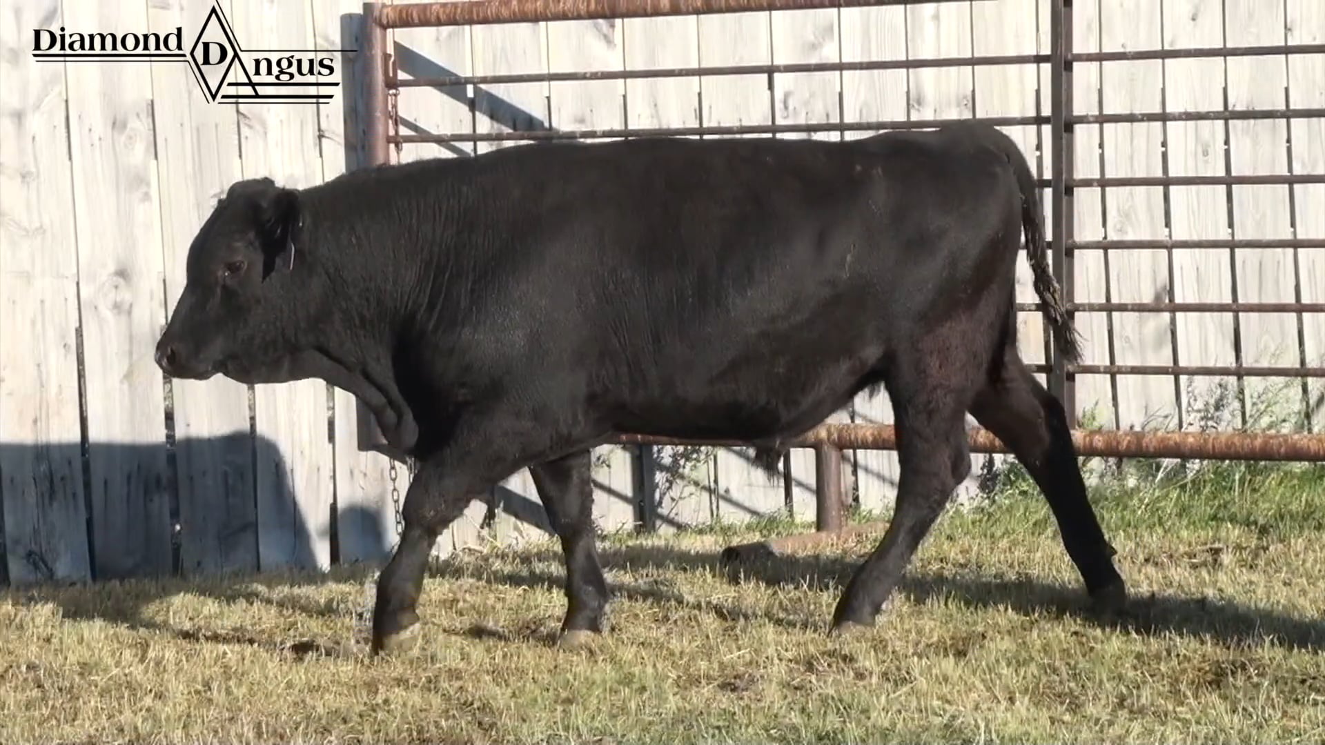 Diamond D Lot #66 on Vimeo