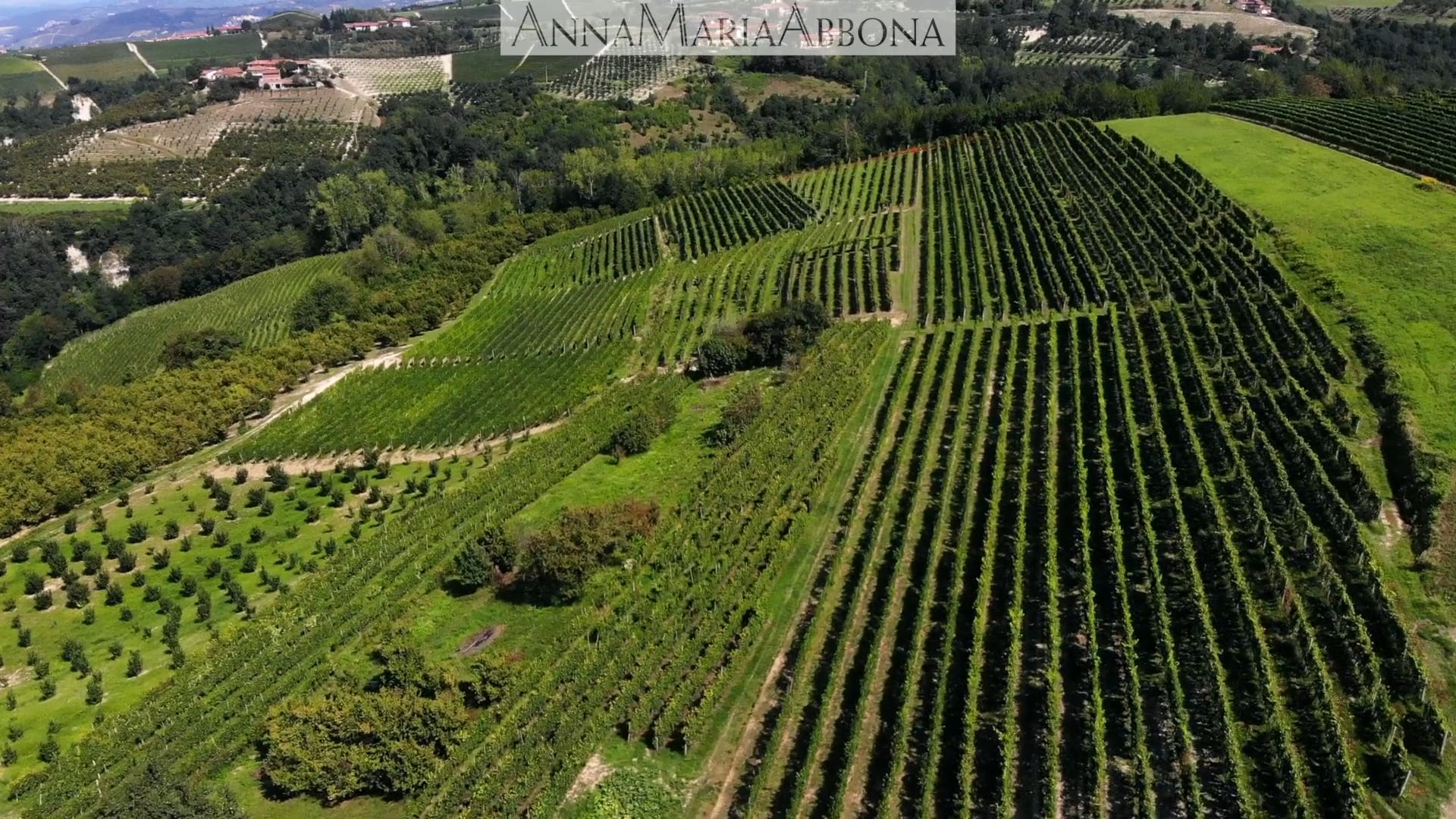 Anna Maria Abbona | Il vigneto di Farigliano | The Farigliano vineyard