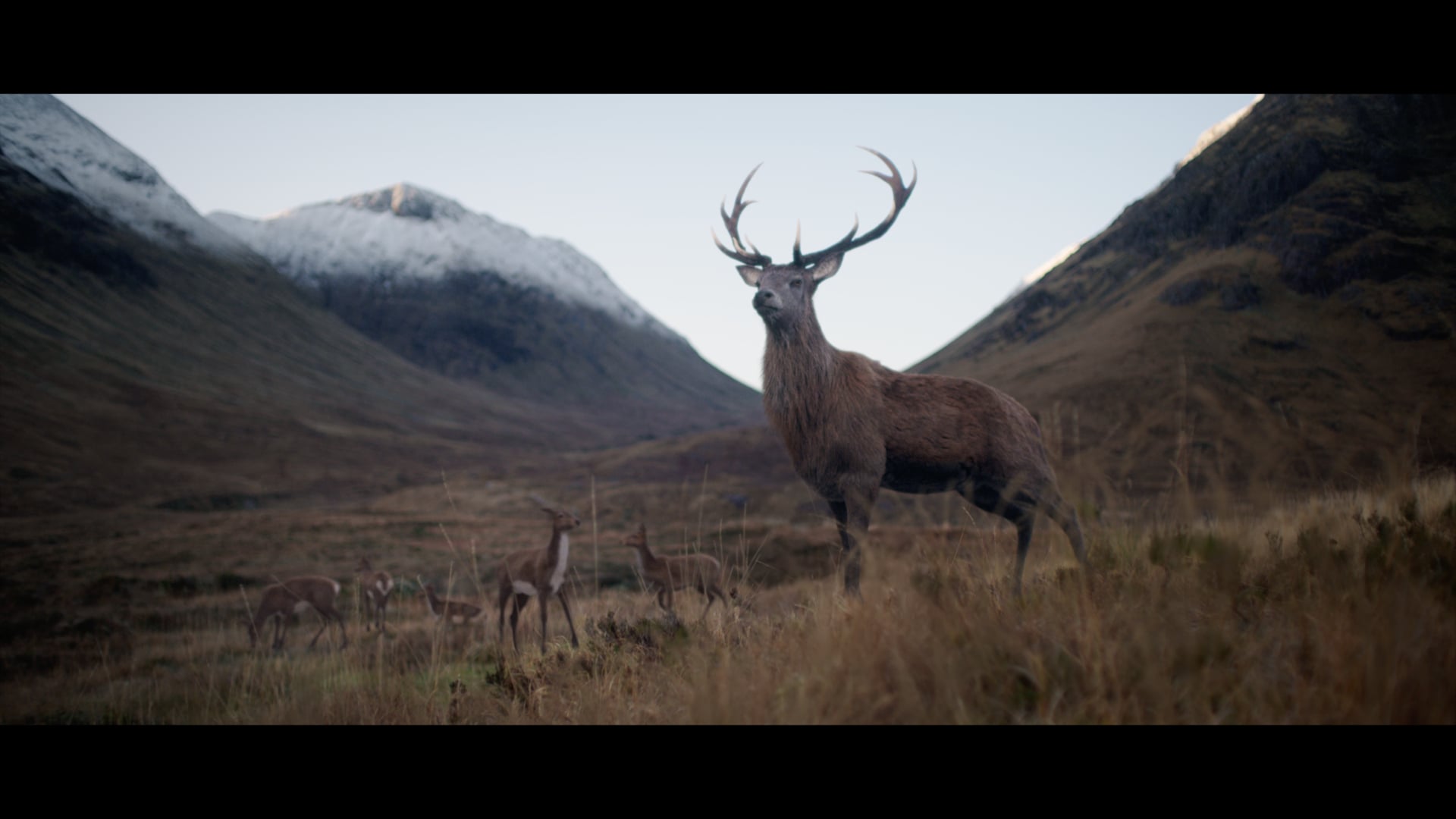 GLENFIDDICH | Philippe André