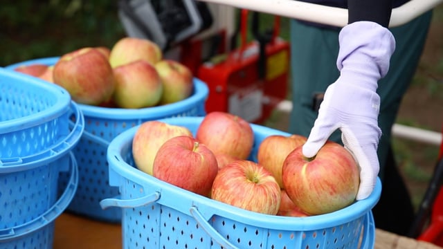 MOVIE「長野県飯綱町」