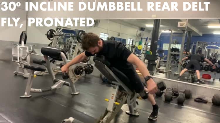 Dumbbell Rear Delt Fly