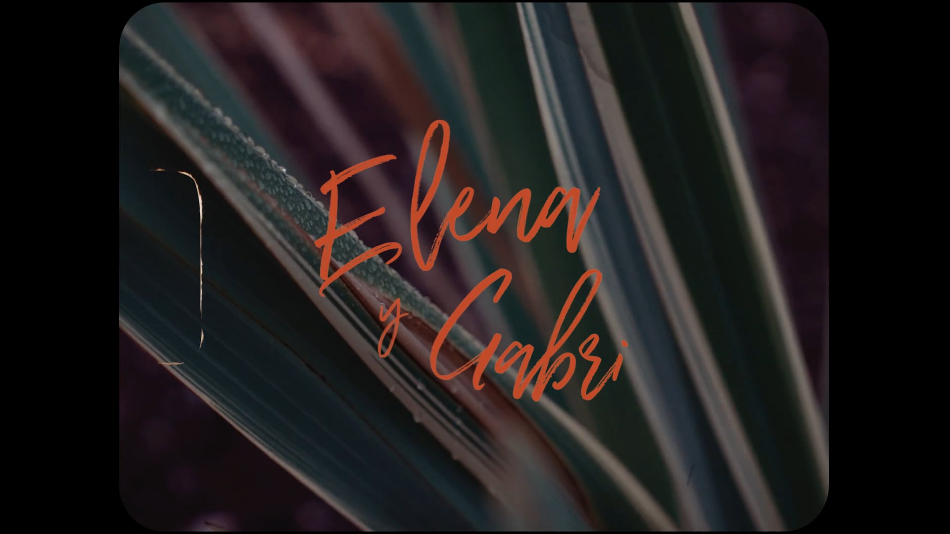 Elena & Gabri (Teaser)