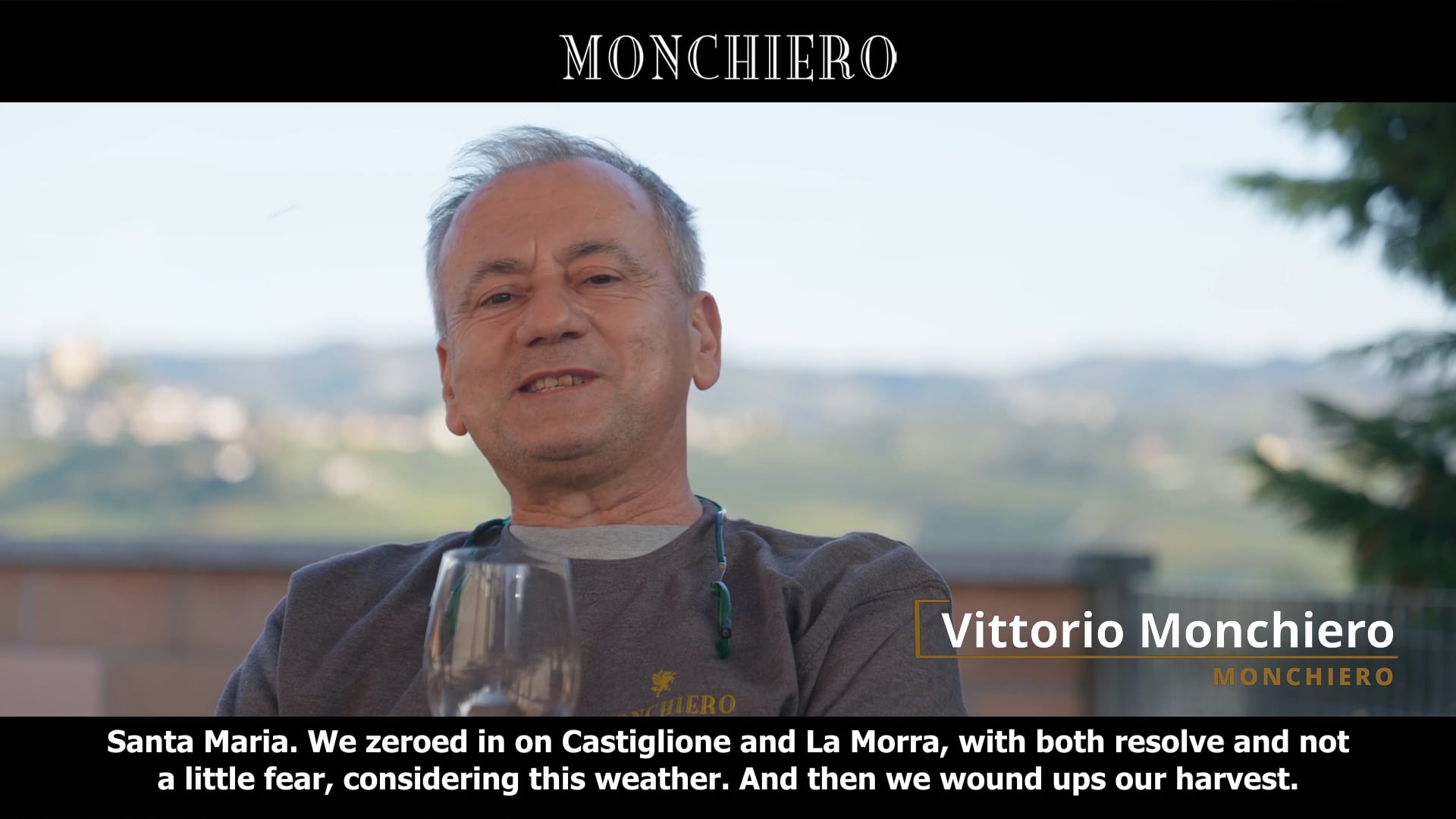 Vendemmia | Harvest 2020