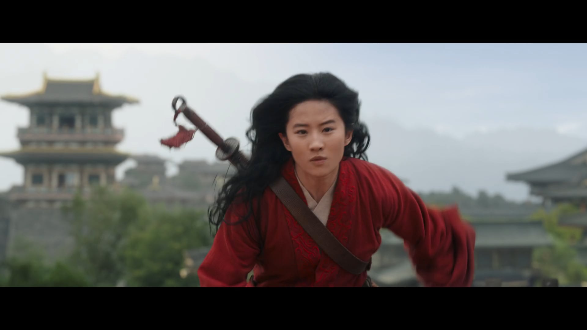 Mulan - D Plus Int'l Leader 30