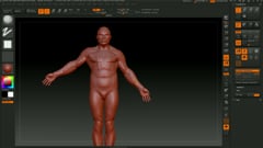 ZBrush - Essential - 03 - Outils et Fonctions - 03 - La Symétrie