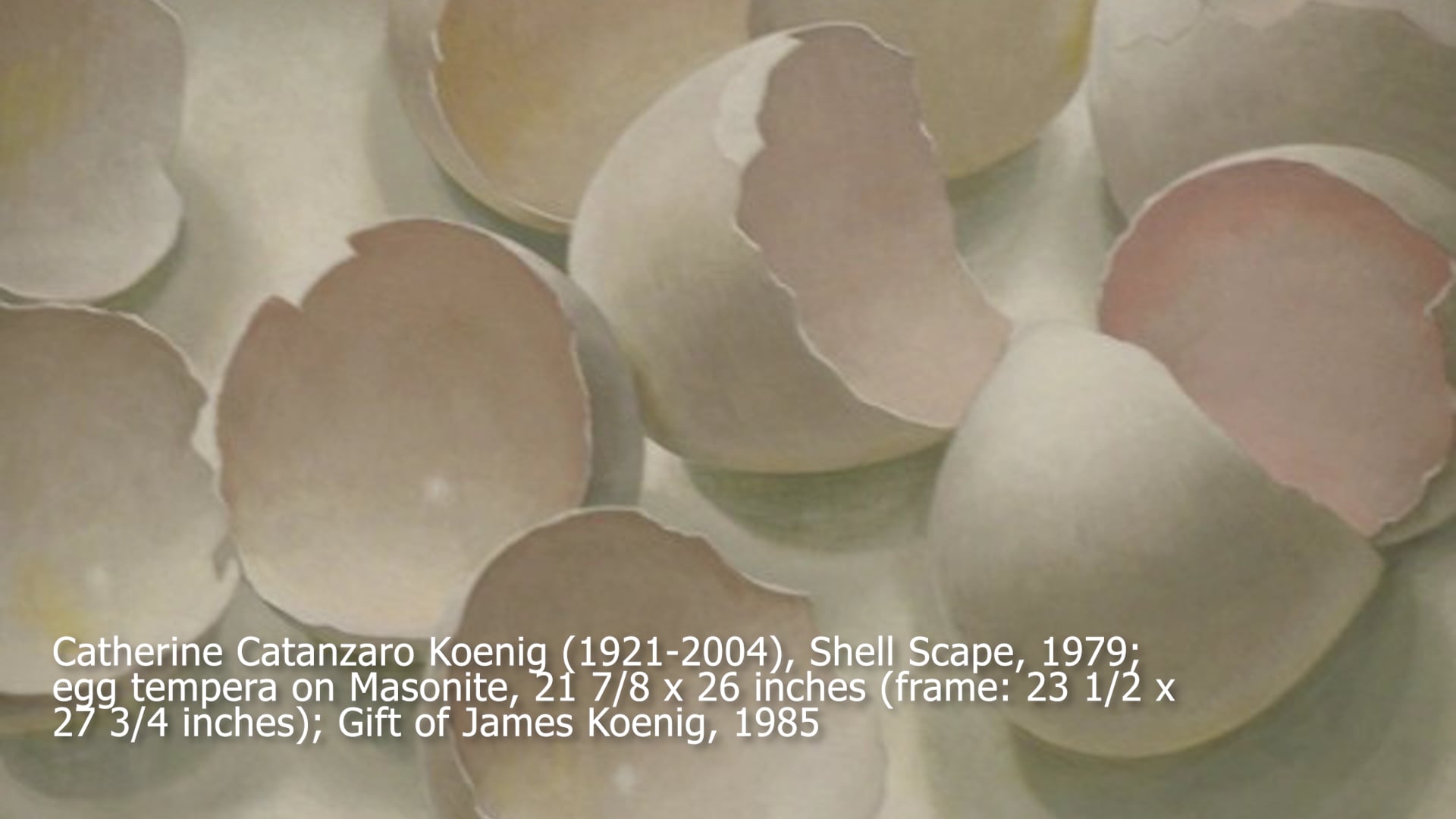 Take a Look Talk (Catherine Catanzaro, Shell Shape) on Vimeo