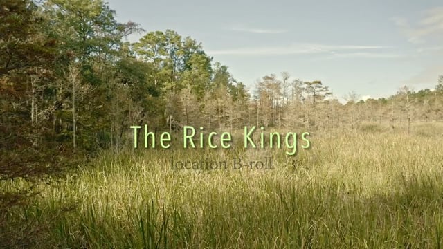 Episode LUT The Rice Kings