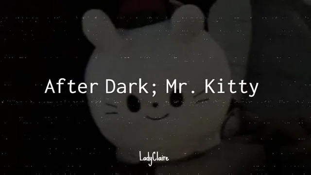 After Dark - Mr. Kitty (Lyrics) on Vimeo