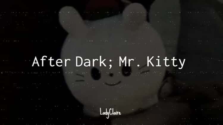 Mr. Kitty - After dark (Lyrics) 