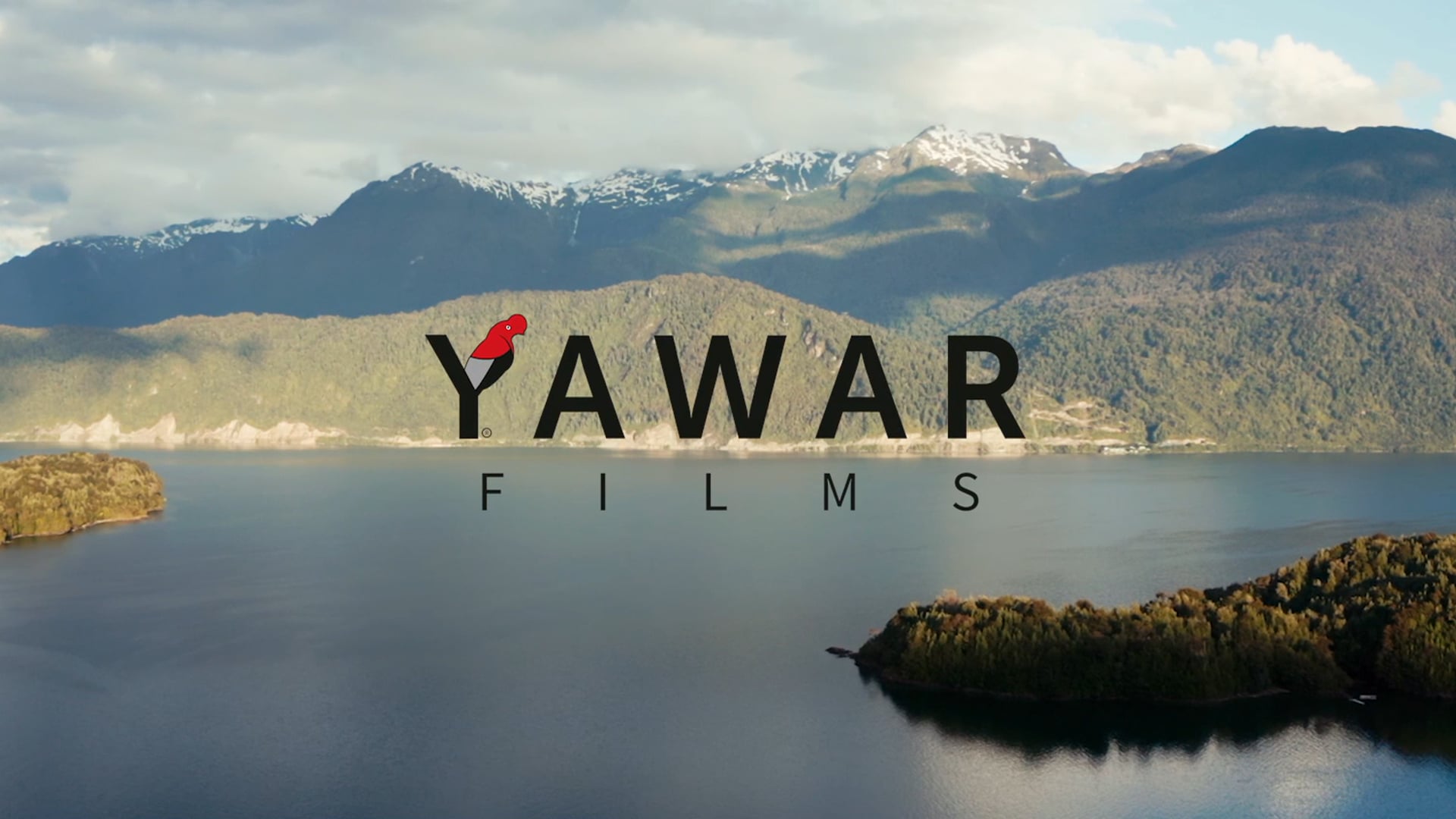 REEL YAWAR FILMS 2020