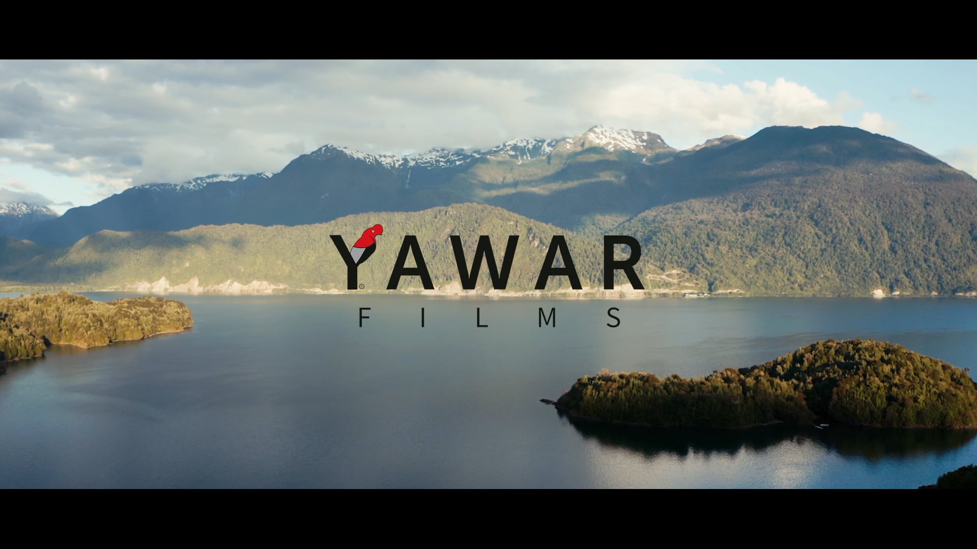 REEL YAWAR FILMS 2020