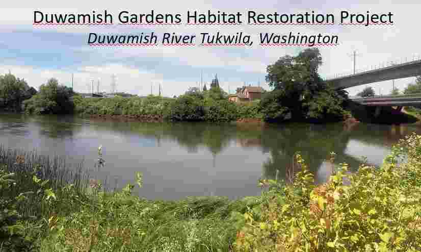 Duwamish Gardens on Vimeo