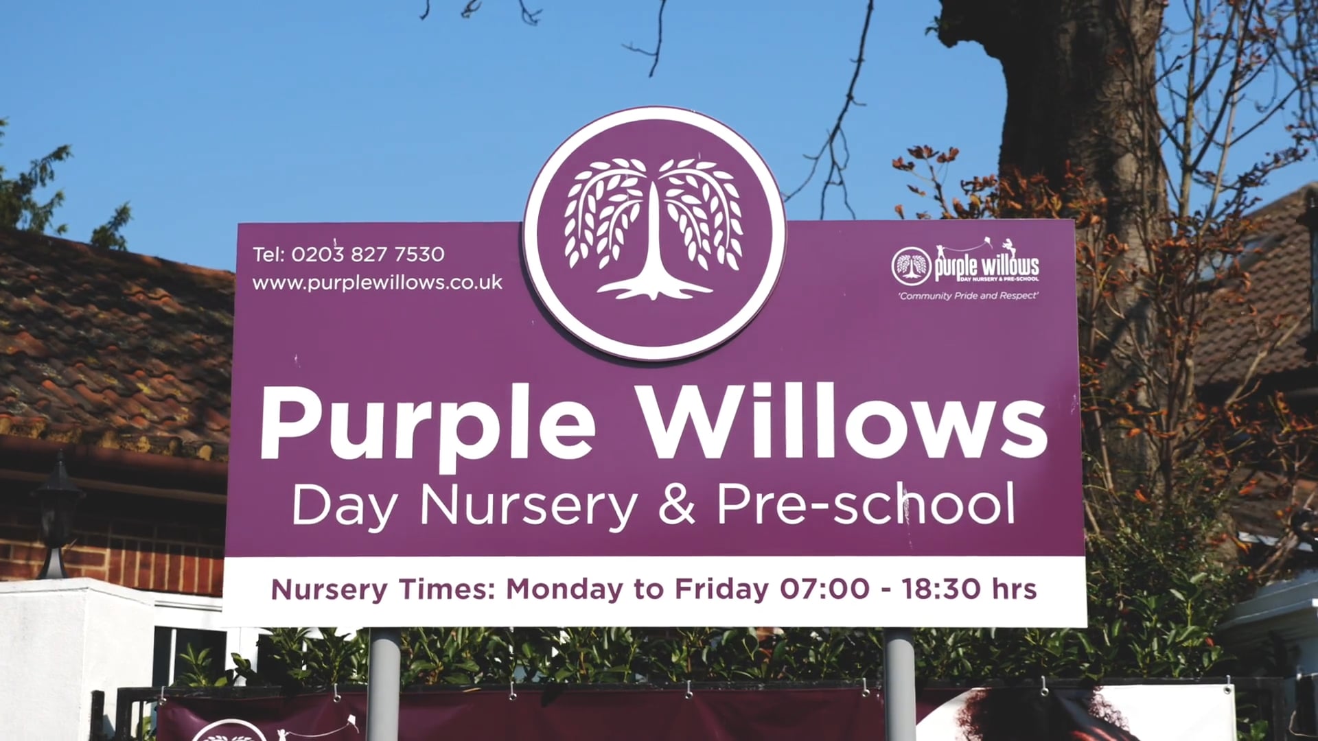 Purple Willows - Staff Questions