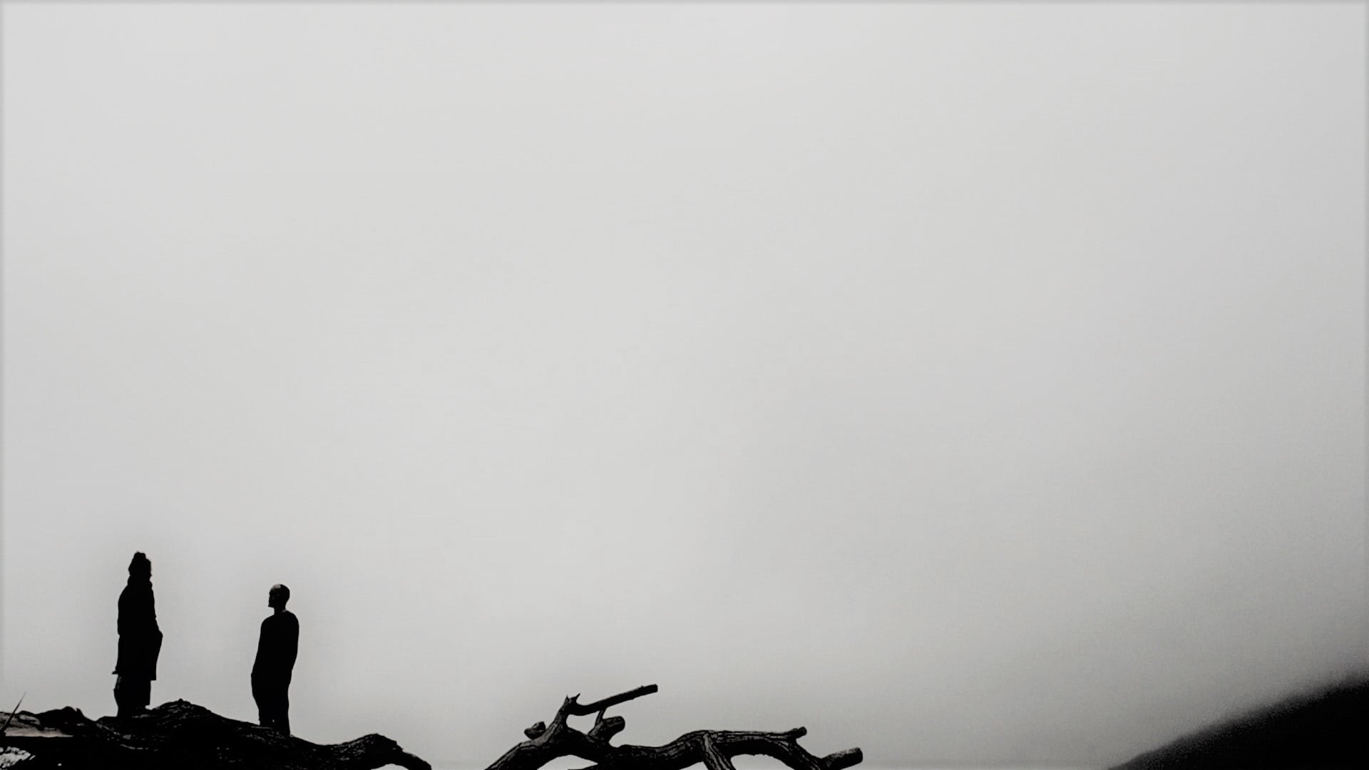 ÉPHÉMÈRE // Ein Augenblick Mensch auf dem Planeten // 2020