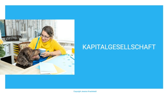 3. Kapitalgesellschaft