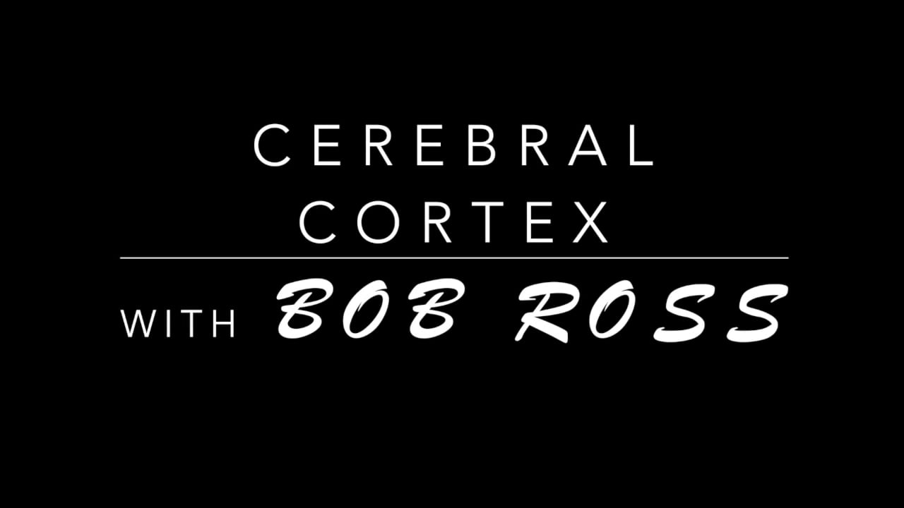 Cerebral Cortex on Vimeo