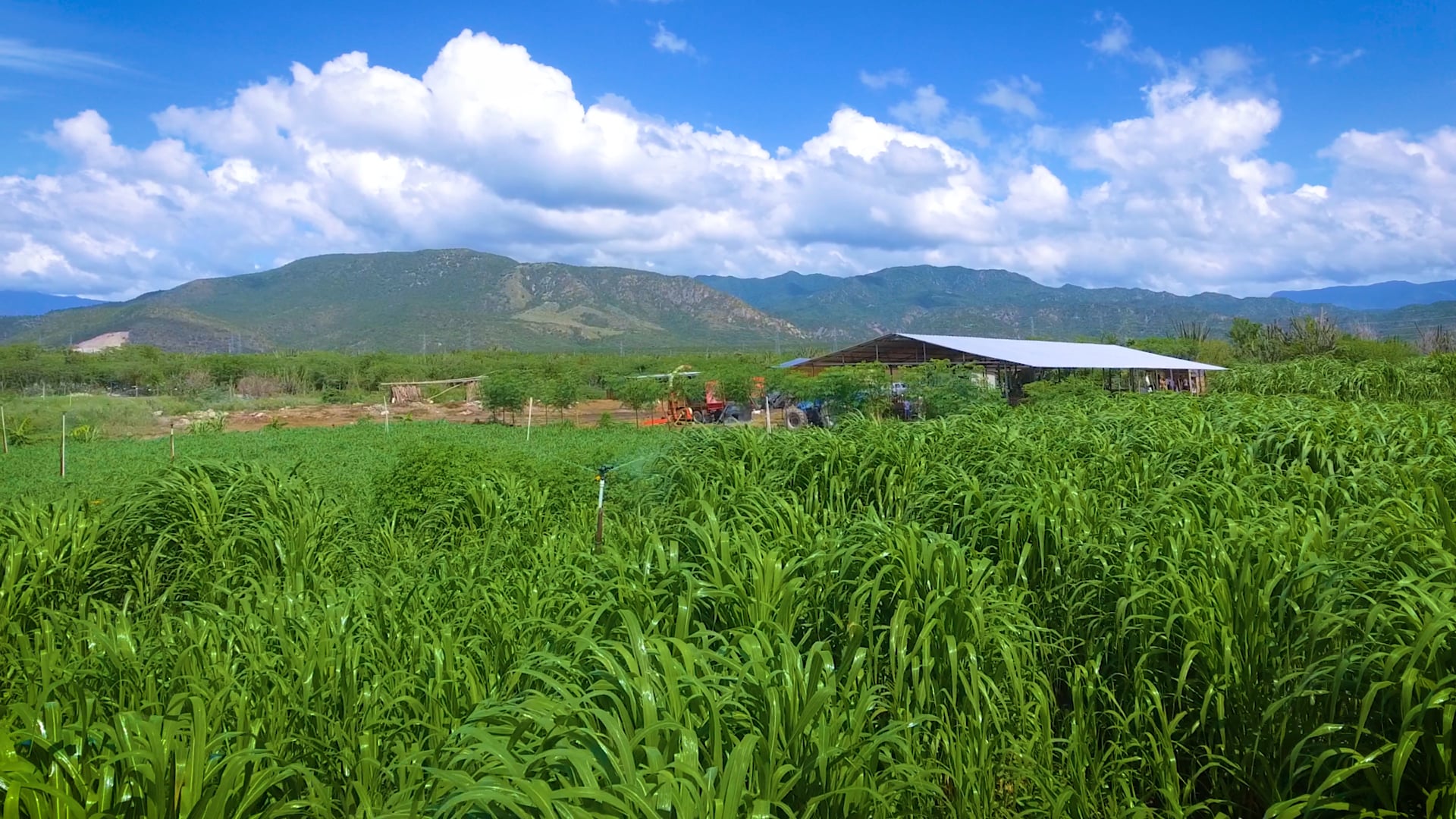 Morisoñando Restaurant (Chef Tita)