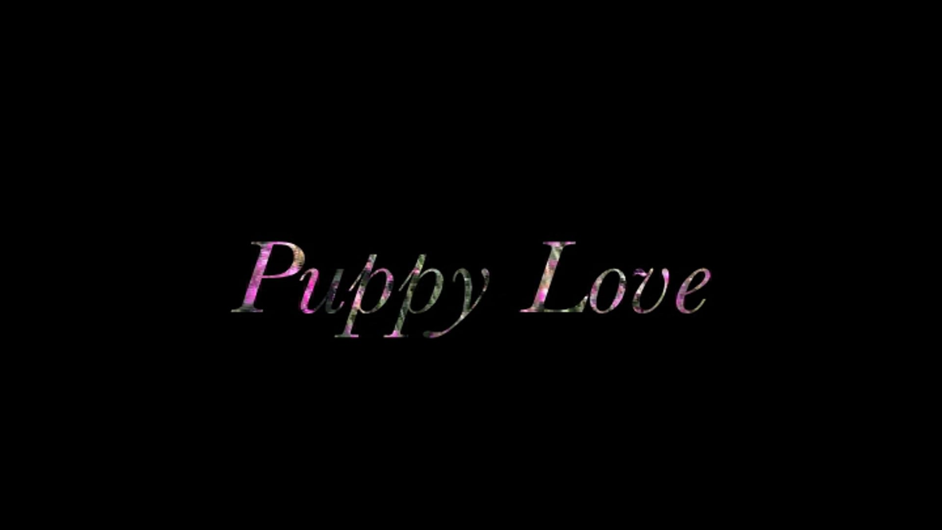 Puppy Love (2019)