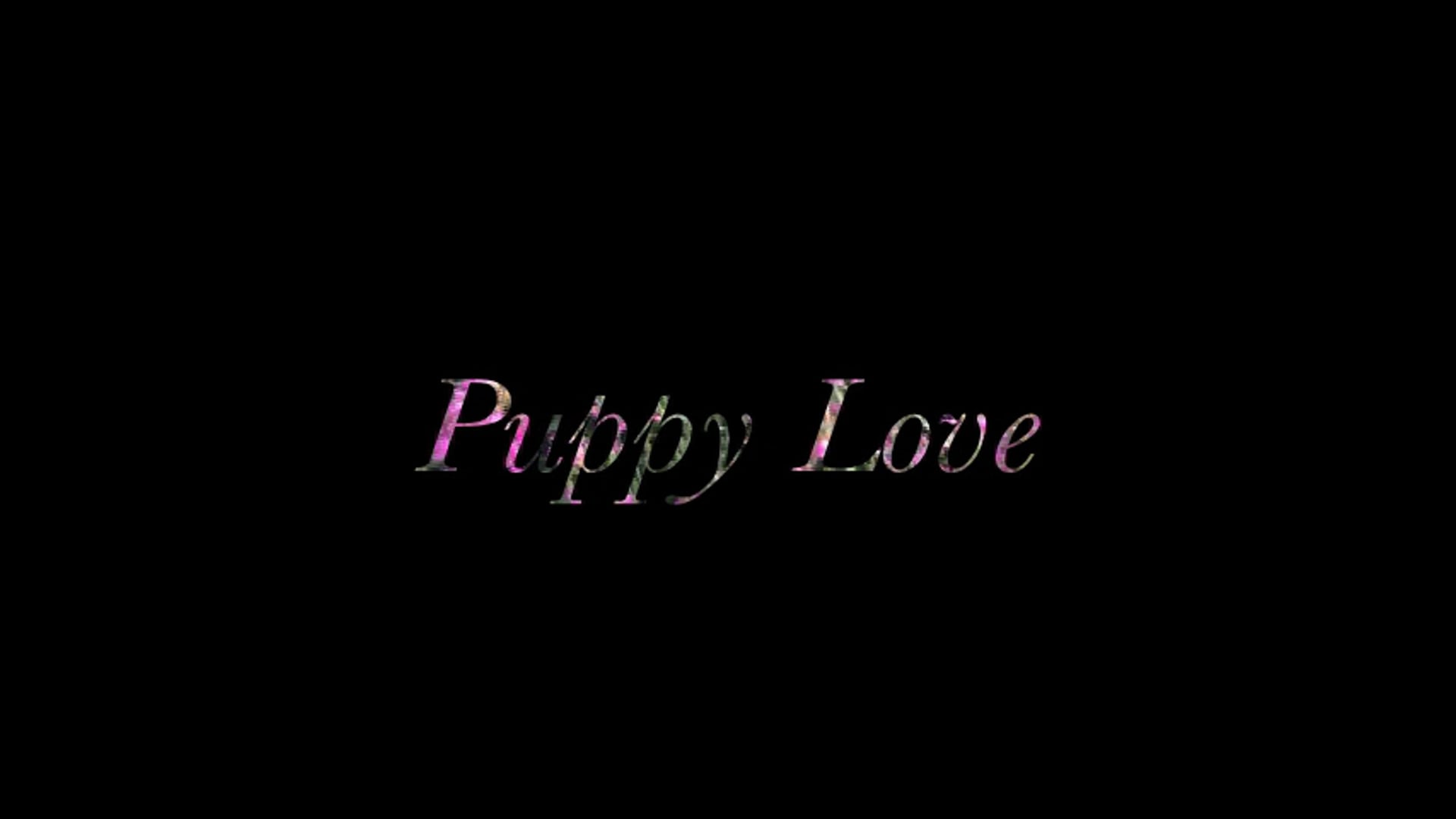 Puppy Love (2019)