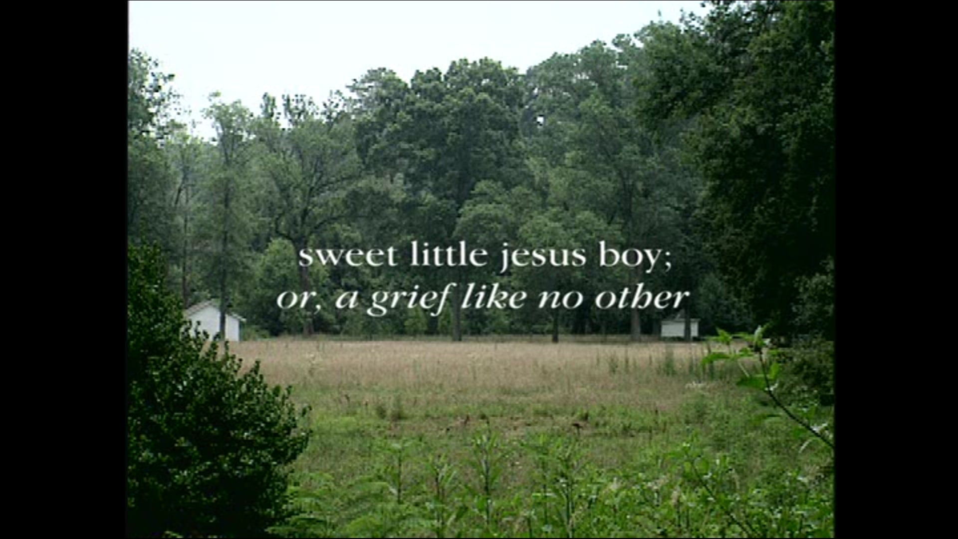 Sweet Little Jesus Boy; or, a grief like no other (2002)