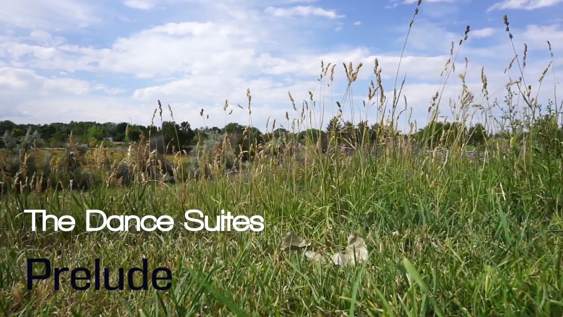 The Dance Suites